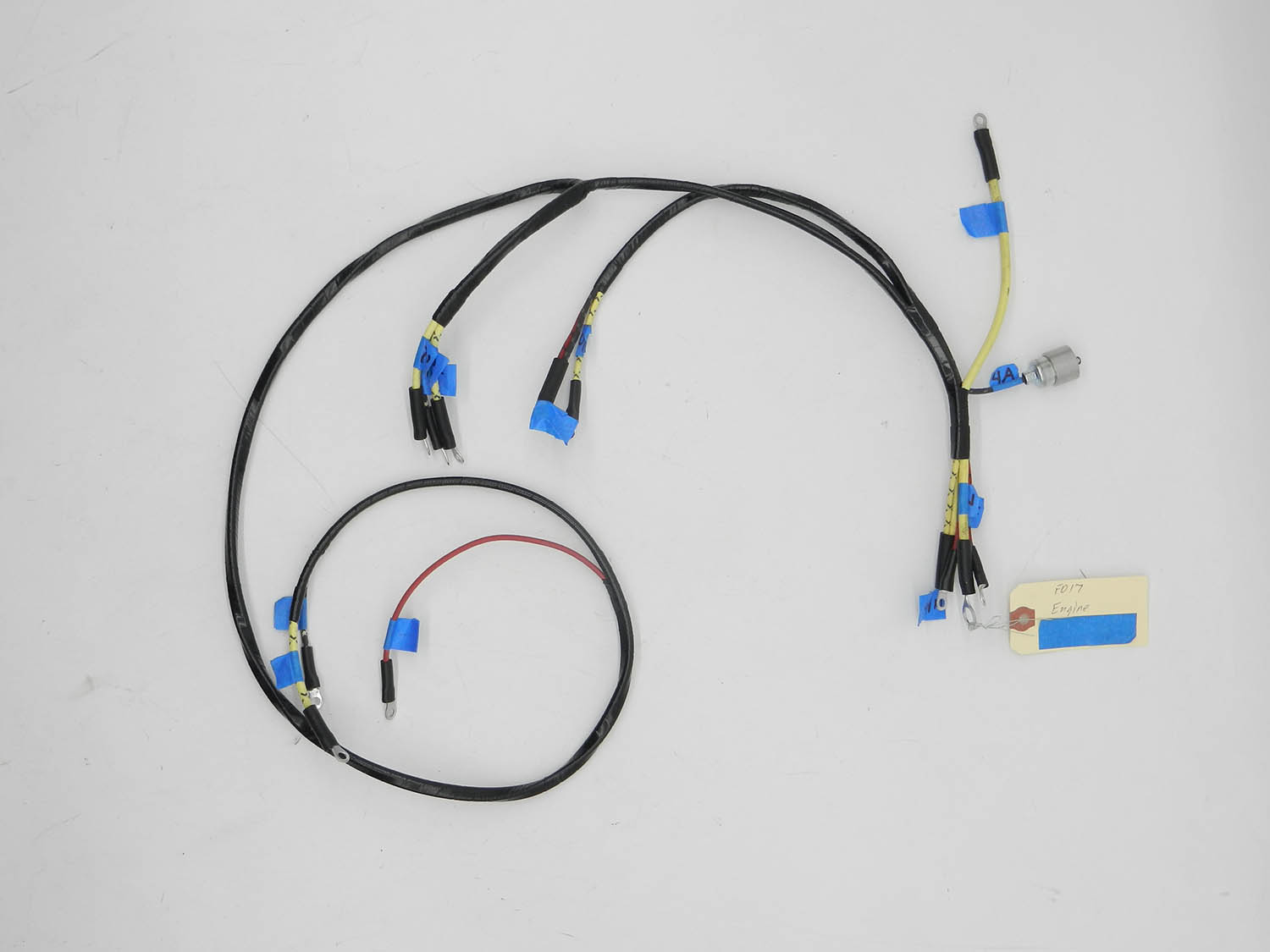 ENGINE HARNESS – F017